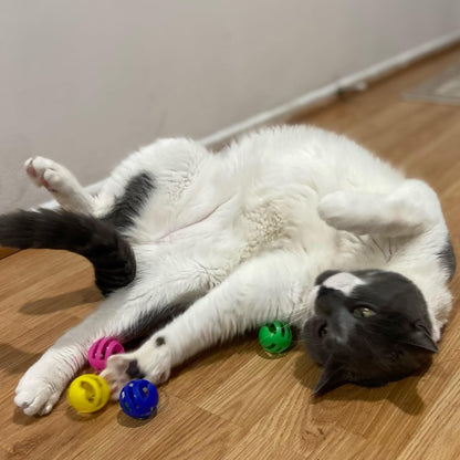SPOT Slotted Balls Cat Toy - Interactive Cat Toys for Indoor Cats to Chase, Hunt and Stimulate - Jingle Bell inside for Sound When Batted around - Safe and Non-Toxic - 1.5" Assorted 4-Pack8