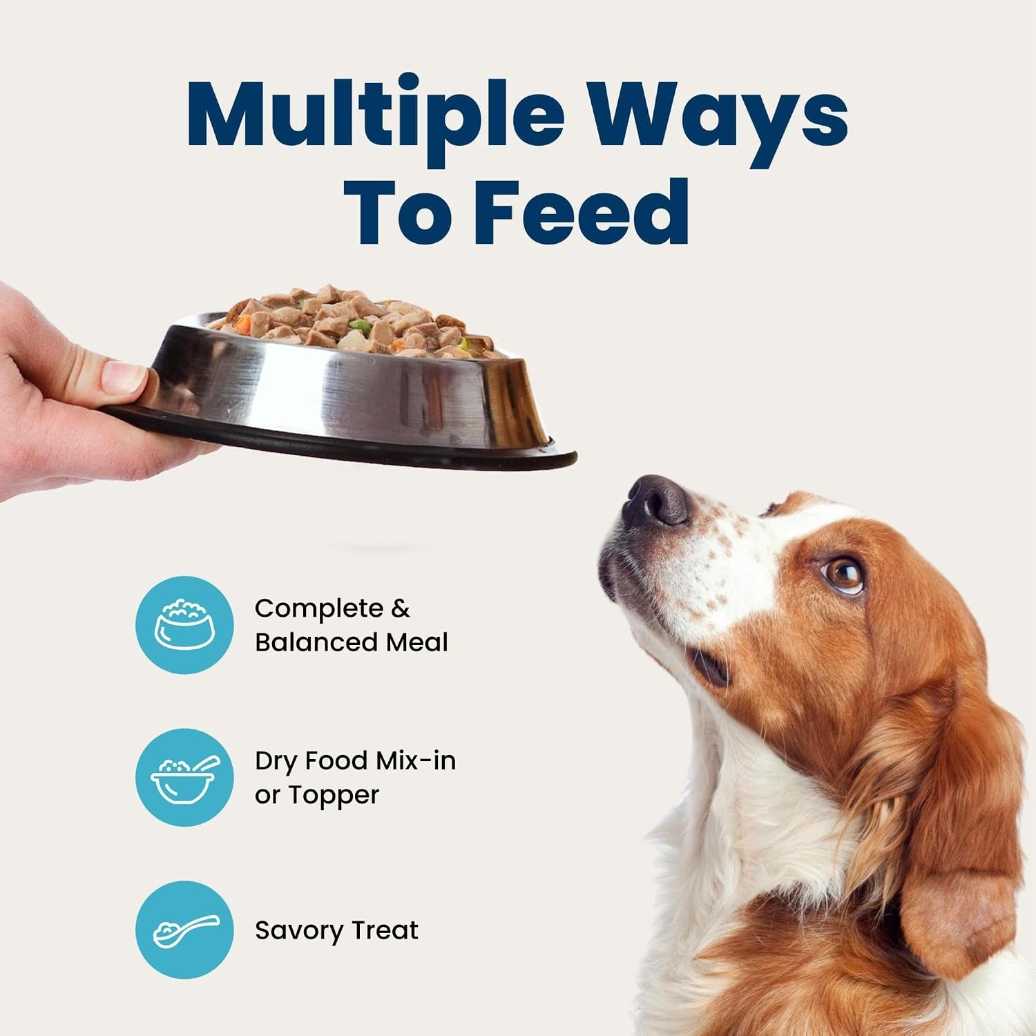 blue-buffalo-family-favorite-recipes-sunday-chicken-dinner-in-gravy-natural-wet-dog-food-for-adult-dogs-grain-free-recipe-with-natural-ingredients-vitamins-minerals-12-5-oz-can-12-count