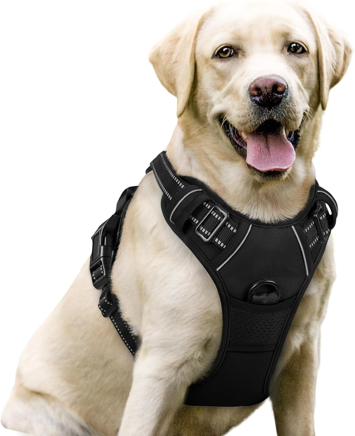 rabbitgoo-dog-harness-no-pull-for-large-dogs-with-2-leash-clips-pet-vest-no-choke-with-handle-adjustable-soft-padded-reflective-easy-control-for-walking-black-large