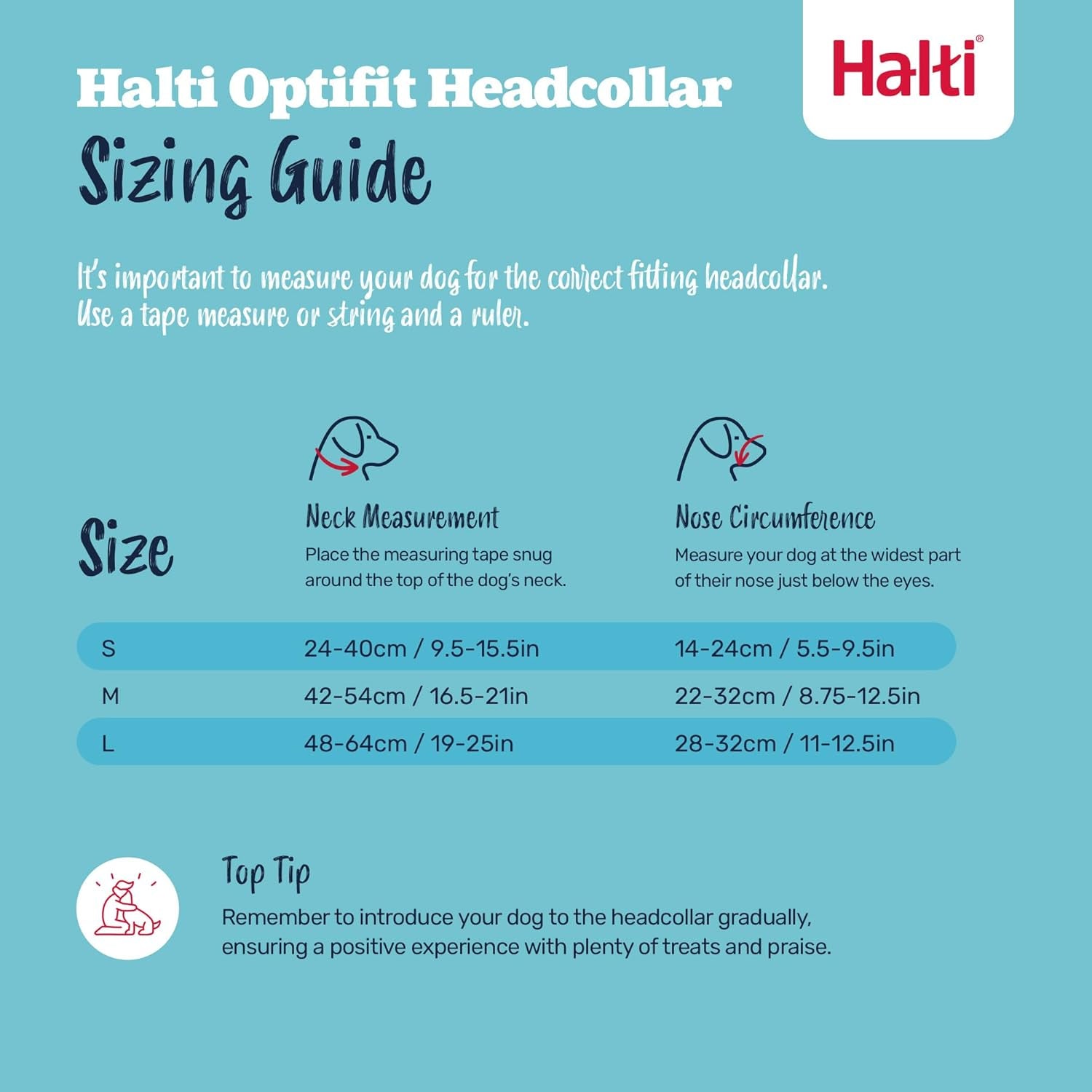halti-optifit-headcollar-size-medium-halti-training-leash-size-large-black-combination-pack-stop-your-dog-pulling-on-the-leash-adjustable-with-padded-nose-band-suitable-for-medium-dogs