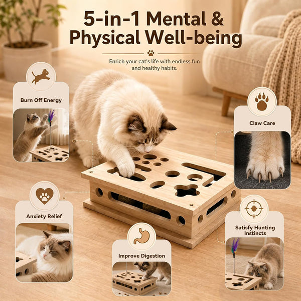 2026 New Cat Scratch Puzzle Enrichment Box, Interactive Cat Nail File Box with Catnip & Bell Ball, Cat Scratcher Toy with Teaser Wand, Stress-Free Alternative to Clippers & Grinders5