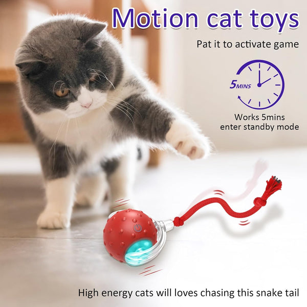 Giociv Interactive Cat Toys Ball for Indoor Cats Fast Rolling on Carpet, Chirping & Motion Activate Cat Toys (Red)3