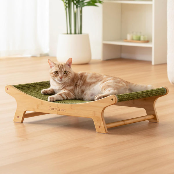 XL Sisal Cat Scratcher Bed with Elevated Hammock for Indoor Cats, Replaceable Natural Sisal Pad, Large Cat Lounge, Anti-Slip No-Wobble Bamboo Frame, Olive Green1