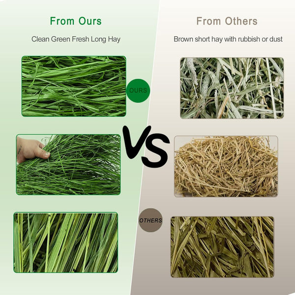 Timothy Hay, 1.1LB Small Pet Feed | Dust-Free, Natural Fresh Green Hay, Suitable for Rabbits, Guinea Pigs, Chinchillas, Tortoises5