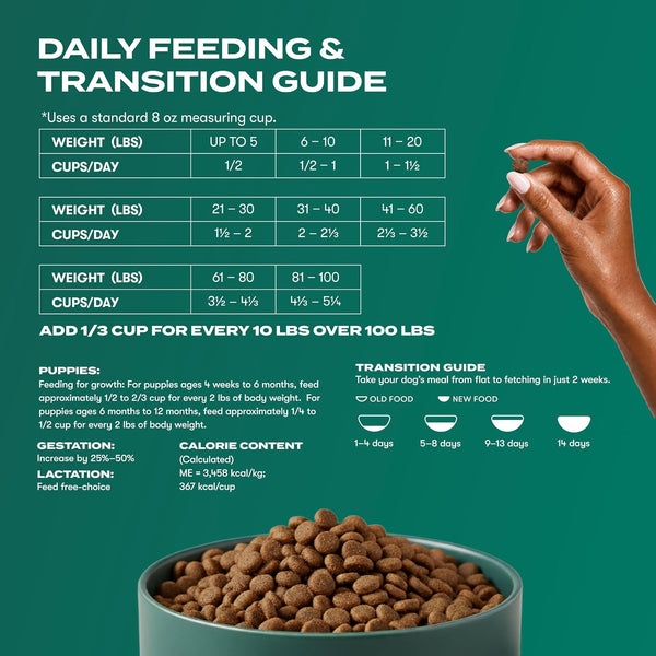 Jinx Grain Free Dry Dog Food - Real Salmon, Sweet Potato & Carrot, 4Lb | Premium Kibble for Digestive Support & Healthy Immunity - No Fillers, All Lifestages (Puppy, Adult & Senior), Breeds & Sizes8