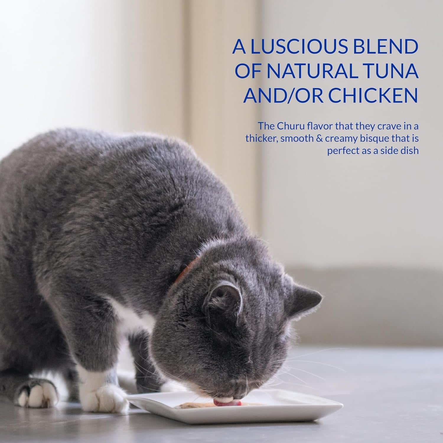 inaba-churu-bisque-for-cats-creamy-lickable-puree-side-dish-with-vitamin-e-1-4-ounces-per-pouch-12-pouches-tuna-chicken-variety
