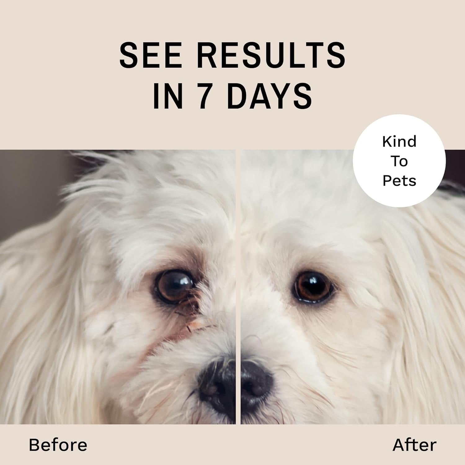 eye-envy-tear-stain-wipes-for-dogs-textured-to-gently-clean-presoaked-in-natural-formula-recommended-by-akc-breeders-professional-groomers-cleans-staining-usa-made-60-wipes