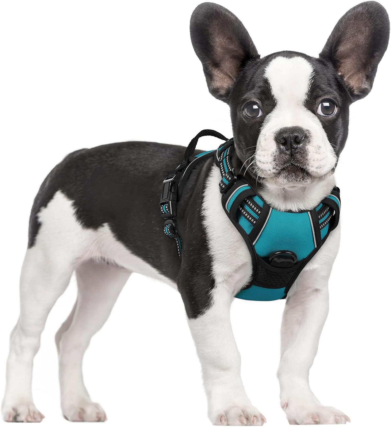 rabbitgoo-dog-harness-no-pull-for-large-dogs-with-2-leash-clips-pet-vest-no-choke-with-handle-adjustable-soft-padded-reflective-easy-control-for-walking-black-large