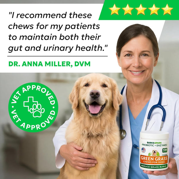 BARK&SPARK Green Grass Dog Chews – Dog Pee Grass & Urine Neutralizer Lawn | Grass Burn Spot Chews with Probiotics & Enzymes, Helps Reduce Lawn Burn from Dog Urine (120 Soft Chews)6