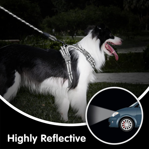 Poypet No Pull Dog Harness and 5 Feet Leash Set, Release on Neck Reflective Adjustable Pet Vest, Front & Back 2 D-Ring and Soft Padded Pet Harness with Handle for Small to Large Dogs(Grey,L)7