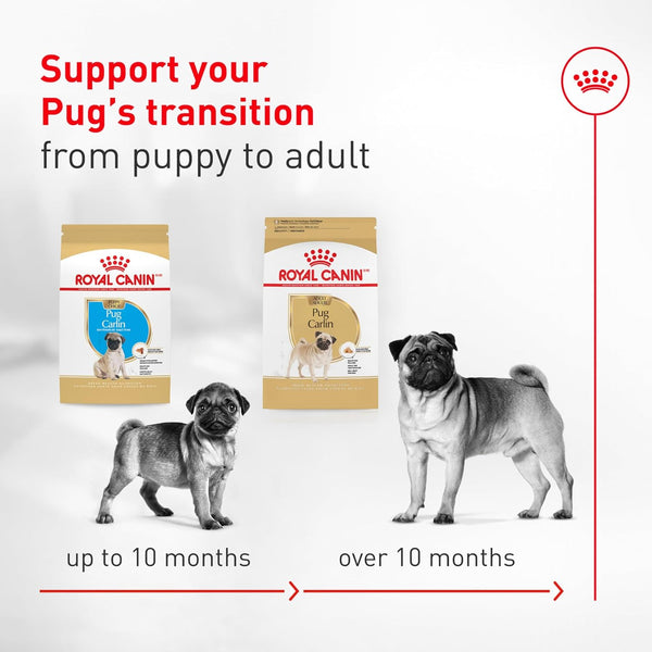 ROYAL CANIN Breed Health Nutrition Pug Adult Dry Dog Food, 10 Lb Bag8