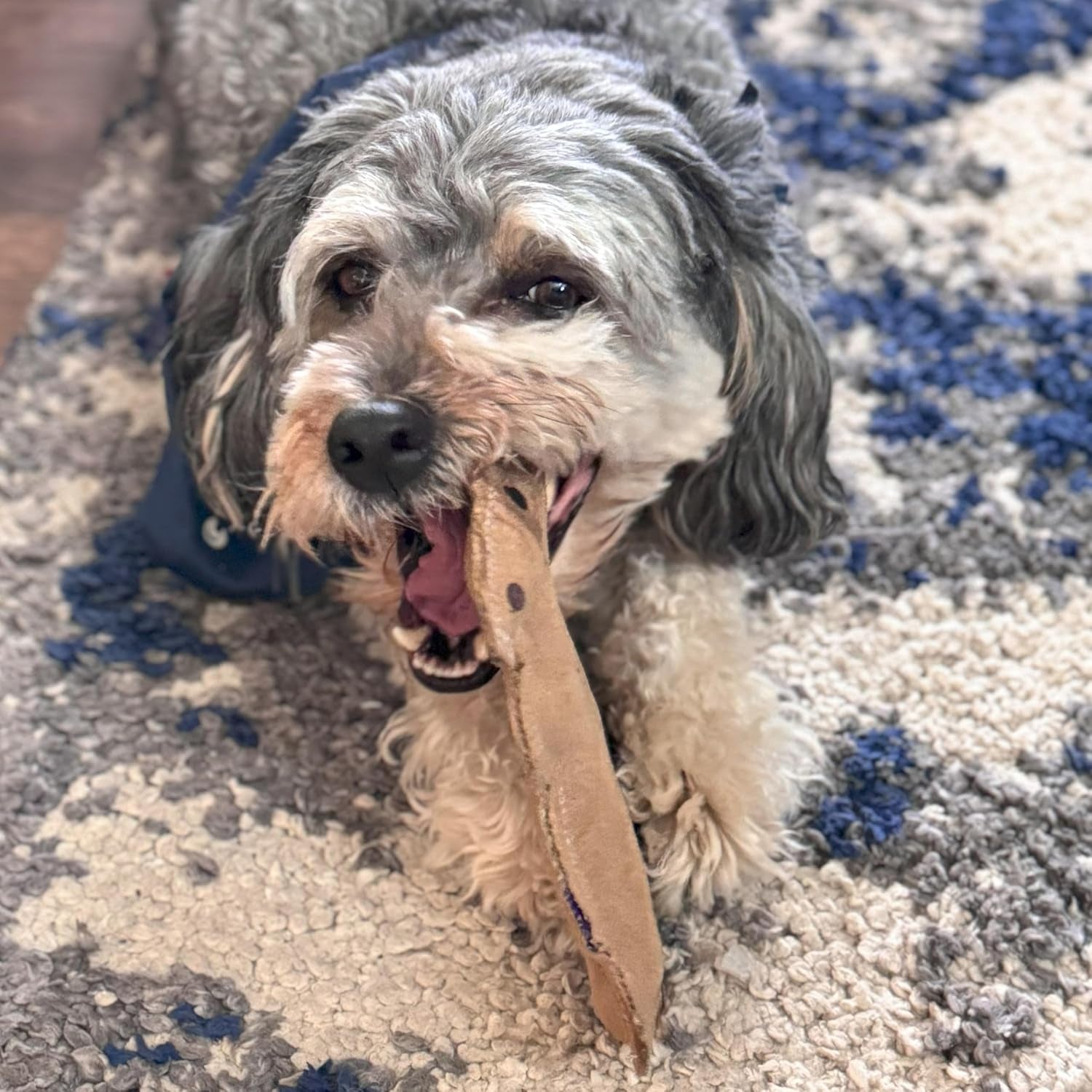 spot-dura-fused-leather-squirrel-dog-toy-real-leather-jute-fabric-double-stitched-durable-soft-stuffed-squeaky-interactive-chew-toy-for-moderate-chewers-small-medium-dogs-8in