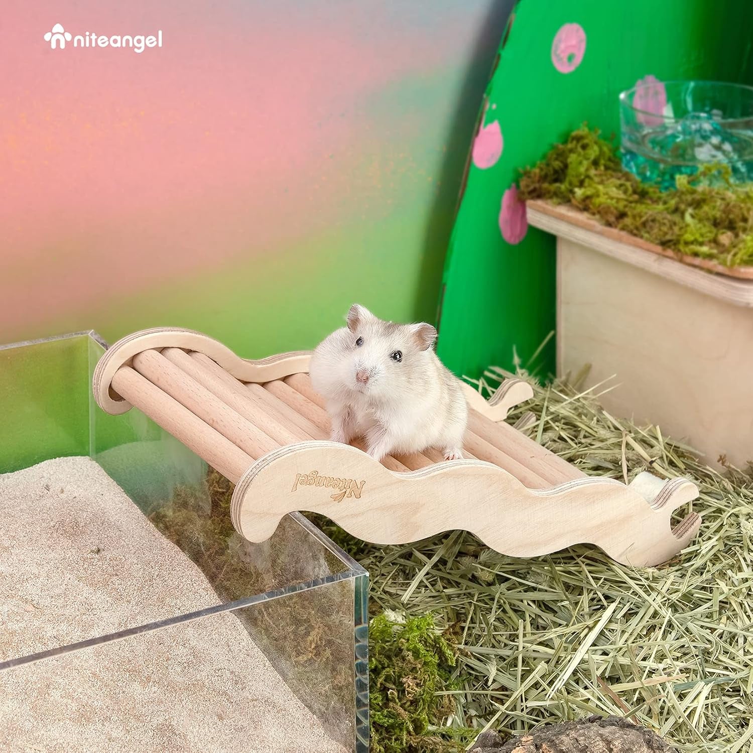 niteangel-hamster-climbing-ladder-bridge-8-26-x-3-7-x-1-1-inch-can-expand-habitat-span-explore-unlimited-new-fun-multi-use-habitat-decor-for-hamsters-gerbils-mice-and-small-animals