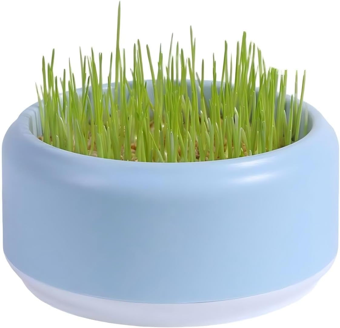 komorebi-cat-specific-reusable-hydroponic-herb-growing-box-set-easy-to-use-3-colour-seeds-not-included-green
