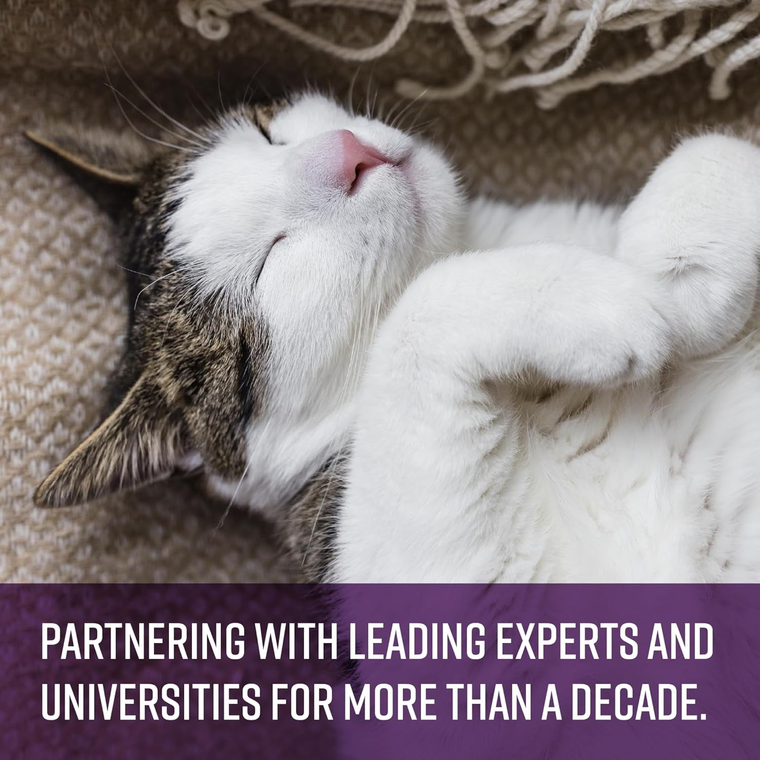 sentry-calming-chews-for-cats-pheromone-stress-aid-4oz-manages-stress-may-curb-destructive-behavior-pheromone-infused-daily-chew-clinically-tested-calming-formula