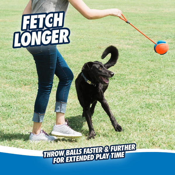 Chuckit! Rope Fetch Dog Toy - Ball on Rope Fetch and Tug-Of-War Toy for Dogs - Durable EVA Rubber Construction - 5.5-Inch Diameter - 18-Inch Rοpe - Orange and Blue3