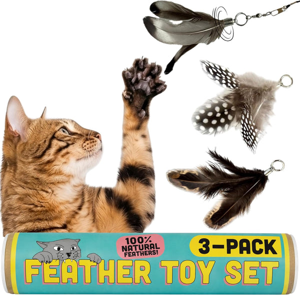 Cat Feather Toy Refill 3-Pack - Natural Feather Cat Toy - Small Size Cat Wand Attachments - Official Cat Toy Feather Replacement for Forever Stick Cat Wand Toy - Cat Wand Refill - Cat Lure and Teaser1