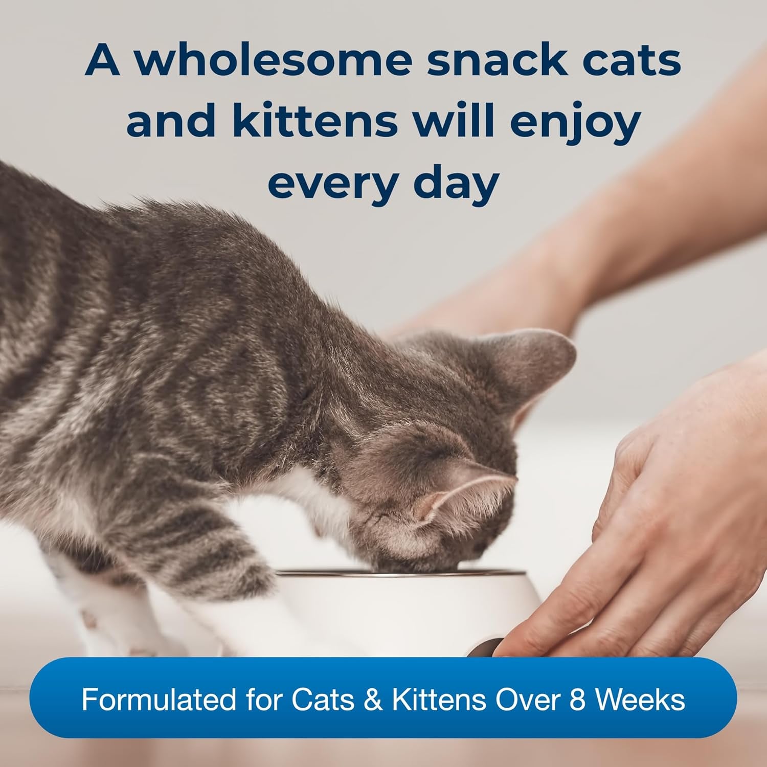 pet-ag-cat-sip-real-milk-8-oz-4-pack-ready-to-feed-snack-for-cats-kittens-easy-to-digest-with-99-lactose-free-low-fat-grade-a-milk-encourages-hydration