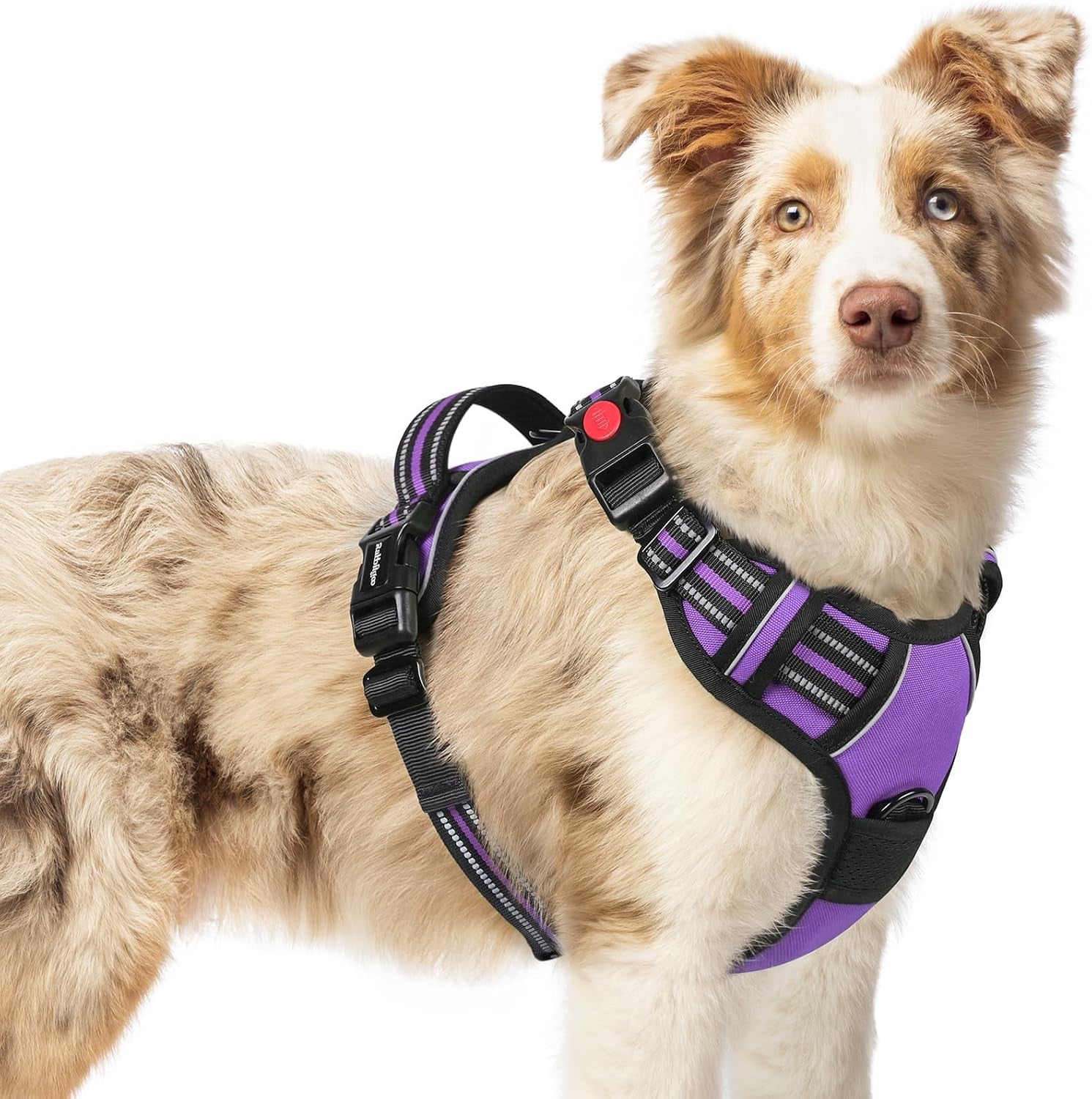 rabbitgoo-dog-harness-medium-sized-updated-easy-on-off-with-3-buckles-no-pull-no-choke-walking-with-2-clips-and-handle-adjustable-soft-reflective-blue-medium