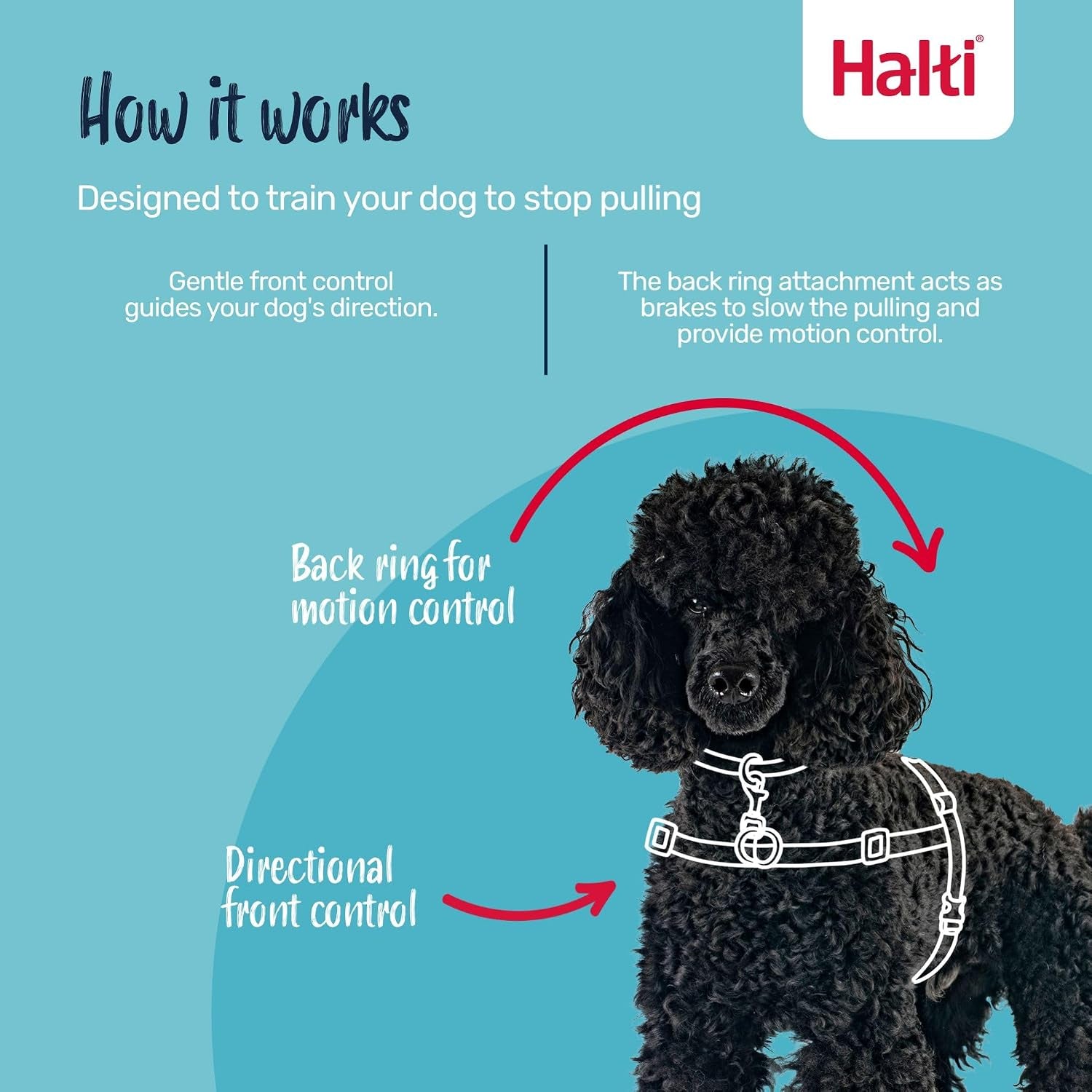 halti-front-control-harness-stop-your-dog-pulling-on-the-leash-adjustable-lightweight-and-easy-to-use-anti-pull-dog-training-harness-for-medium-dogs-size-m-dog-harness-to-stop-pulling-on-the-leash-anti-pull-training-aid-front-leading-no-pull-harness-for-medium-dogs