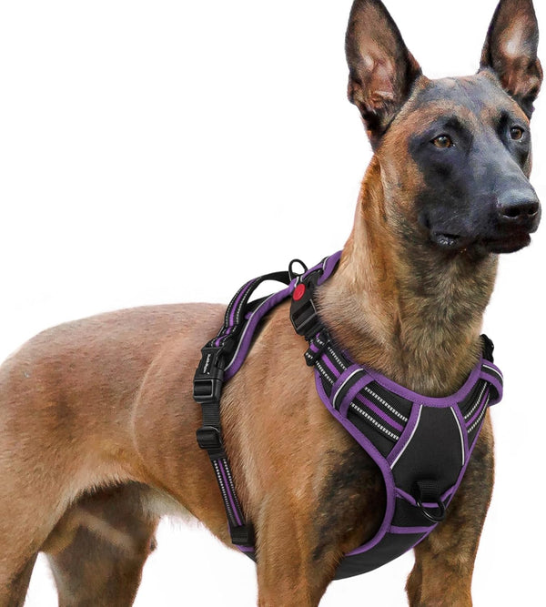 Rabbitgoo Dog Harness Medium Sized, Updated Easy on & off with 3 Buckles | No Pull No Choke, Walking with 2 Clips and Handle, Adjustable Soft Reflective, Blue, Medium56