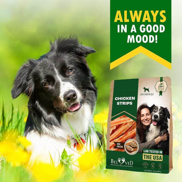 Beloved Pets Dog Chicken Treats Jerky Strips 10.6 Oz - Human Grade Meat Sticks - Natural Pet Dried Snacks Rawhide - Free - Long Lasting Chews for Large & Small Dogs8