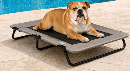 Pet Gear Lifestyle Pet Cot Elevated Bed, 30 Inch, Caribbean Ocean | No Assembly Required, Premium Tear Resistant Cooling Mesh, Indoor & Outdoor, Lightweight & Portable4