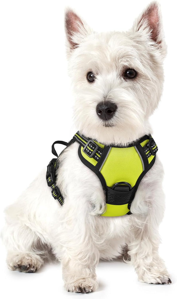 Rabbitgoo Dog Harness, No Pull for Large Dogs with 2 Leash Clips, Pet Vest | No Choke with Handle, Adjustable Soft Padded, Reflective, Easy Control for Walking, Black, Large100