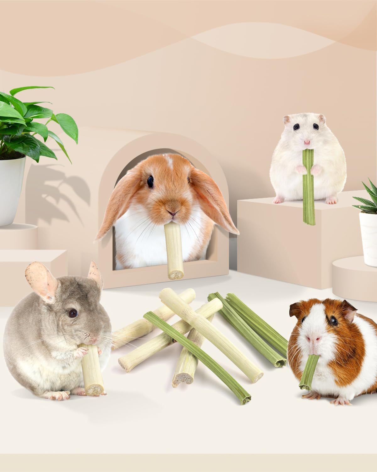 bissap-40pcs-rabbit-chew-sticks-20pcs-sweet-bamboo-chew-sticks-20pcs-papaya-stems-bunny-chews-for-rabbit-hamster-chinchilla-guinea-pig-small-animals-natural-molar-treats