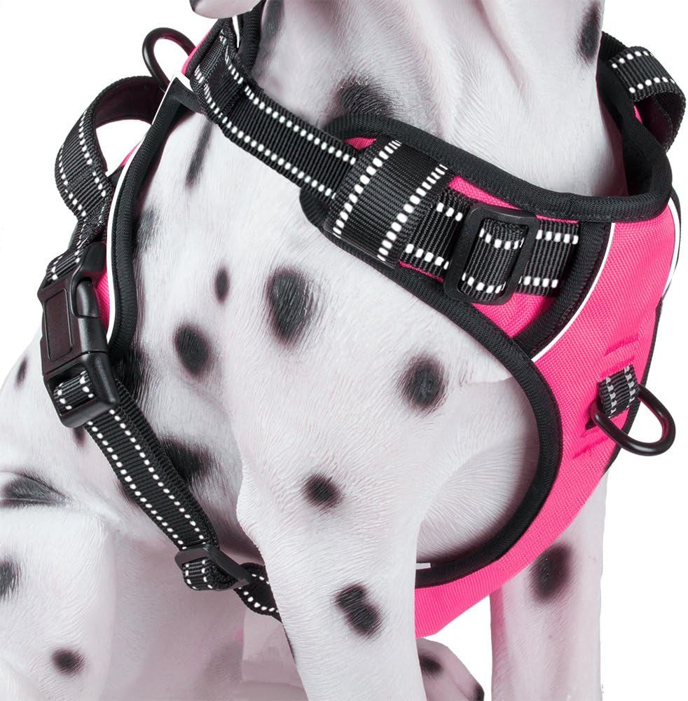 poypet-no-pull-dog-harness-reflective-comfortable-vest-harness-with-front-back-2-leash-attachments-and-easy-control-handle-adjustable-soft-padded-pet-vest-for-small-medium-large-dogs-mint-blue-m
