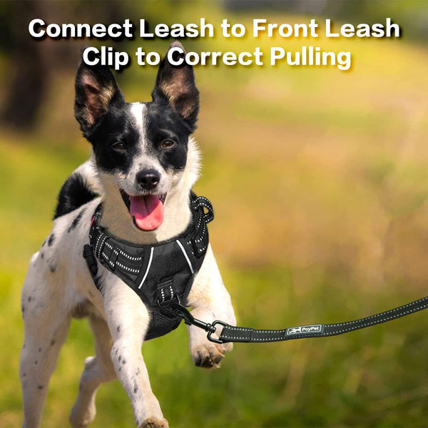 Poypet No Pull Dog Harness, No Choke Front Clip Reflective Dog Vest with Soft Padded Vertical Handle, 3 Leash Attachments for Small Medium Large Dogs (Black,Xl)5