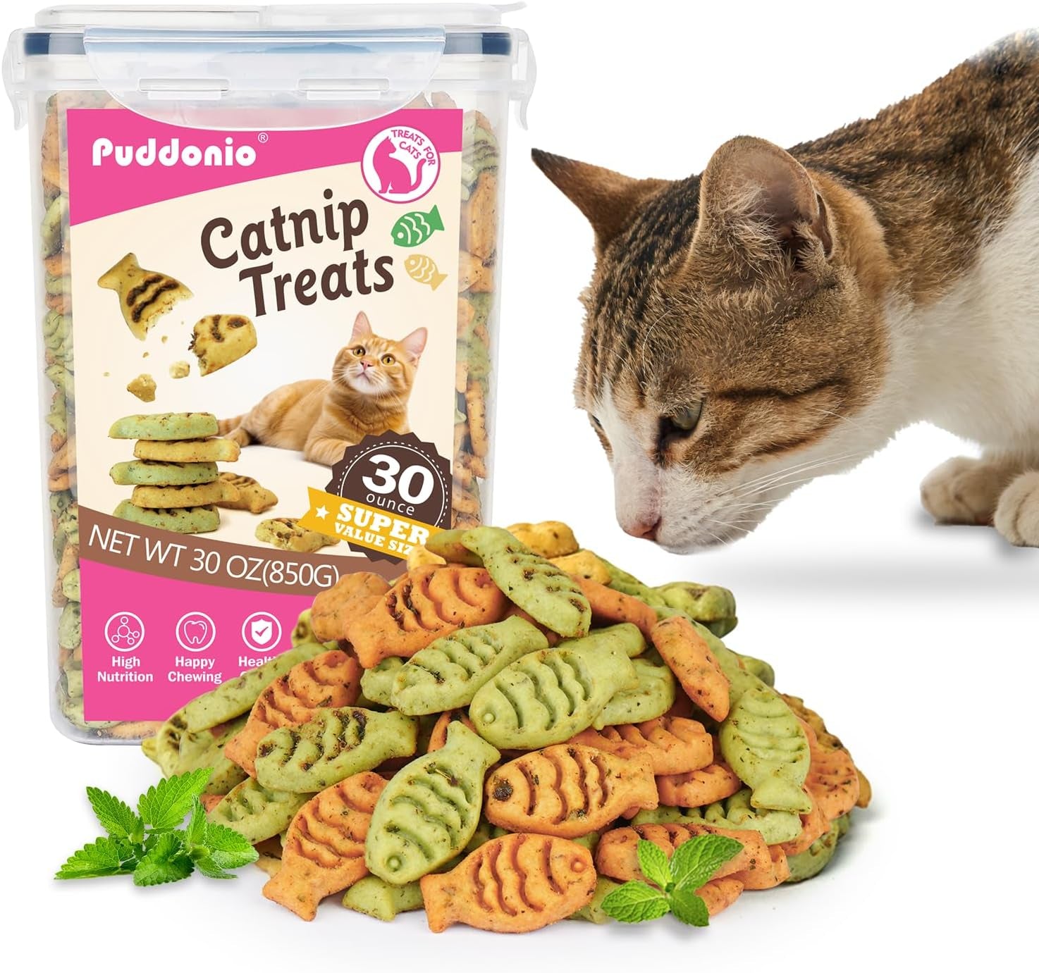 catnip-cat-treats-chicken-salmon-flavor-crunchy-bites-16-oz-catnip-infused-fish-shaped-biscuits-with-chicken-and-salmon-flavors-made-for-training-rewarding-and-everyday-bonding