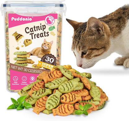Catnip Cat Treats, Chicken & Salmon Flavor, Crunchy Bites, 16 Oz | Catnip-Infused Fish-Shaped Biscuits with Chicken and Salmon Flavors, Made for Training, Rewarding, and Everyday Bonding9