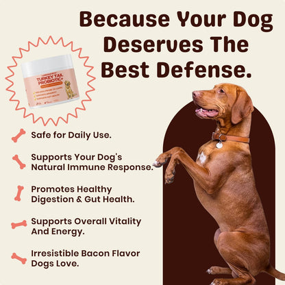 Turkey Tail Mushroom for Dogs – Turkey Tail Mushroom Powder with Probiotics for Immune and Digestive Support, Supports Lumps and Bumps, Bacon Flavored Daily Dog Supplement3