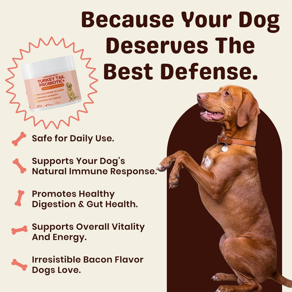 Turkey Tail Mushroom for Dogs – Turkey Tail Mushroom Powder with Probiotics for Immune and Digestive Support, Supports Lumps and Bumps, Bacon Flavored Daily Dog Supplement3