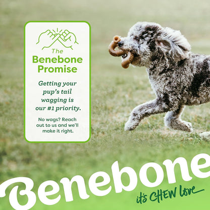 Benebone Tripe Bone Durable Dog Chew Toy for Aggressive Chewers, REAL Beef, Made in USA, Medium6
