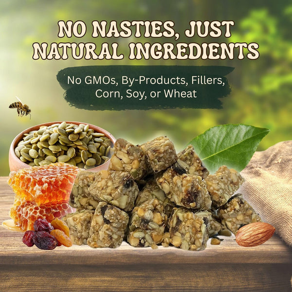 Exotic Nutrition Squirrel Beneficial Blocks - Healthy & Unique Supplemental Food with Nuts & Seeds, 10 Oz2