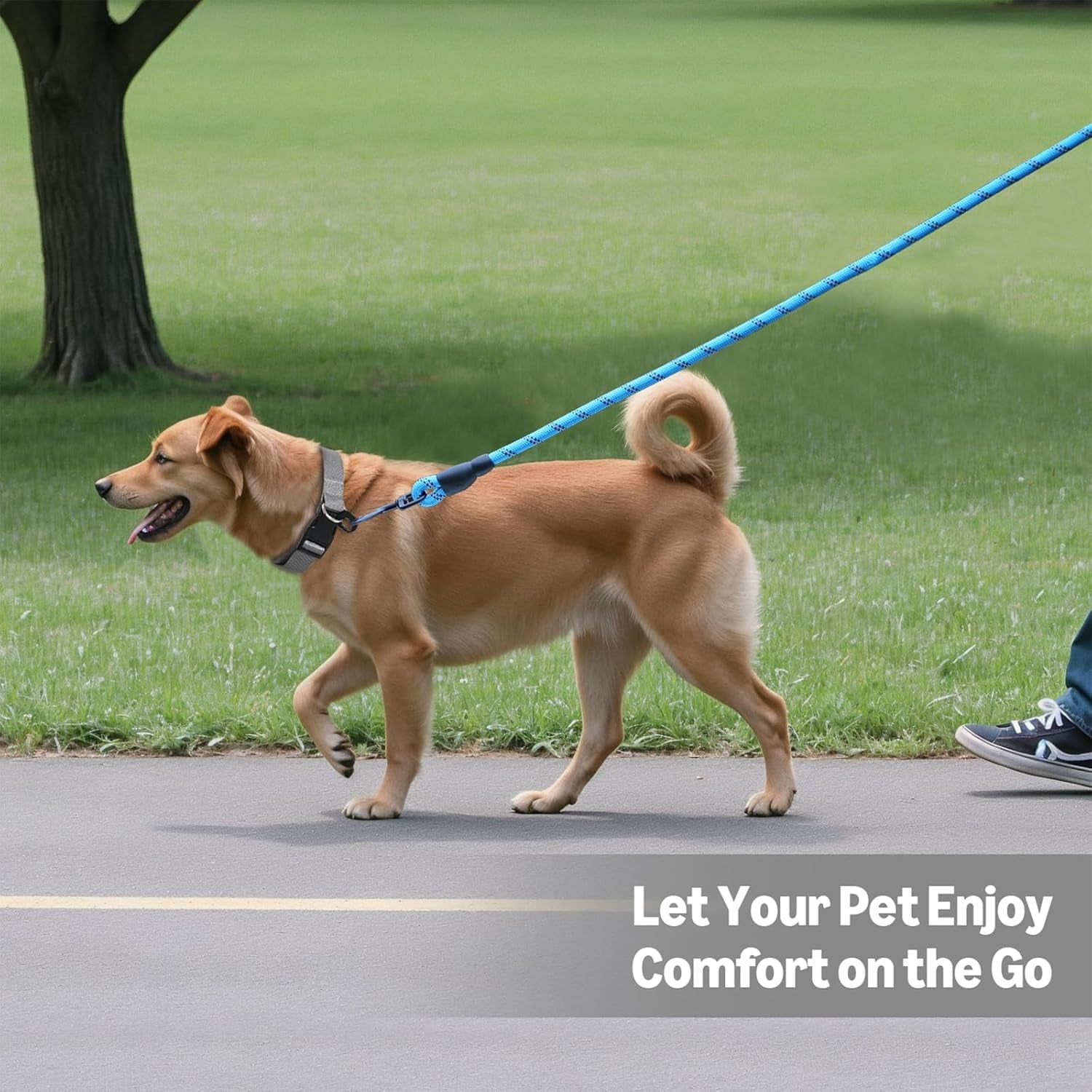 amazon-basics-round-dog-leash-heavy-duty-durable-rope-for-small-medium-and-large-dogs-lightweight-design-for-walking-training-and-outdoor-activities-blue-6-ft