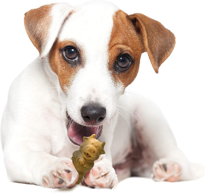 Nylabone Healthy Edibles Puppy Dog Treats, Lamb & Apple Flavor, 12 Count | Natural Puppy Treats, USA Made, Highly Digestible, Vet Recommended, Small Dog Treats for Puppies up to 25 Lbs10