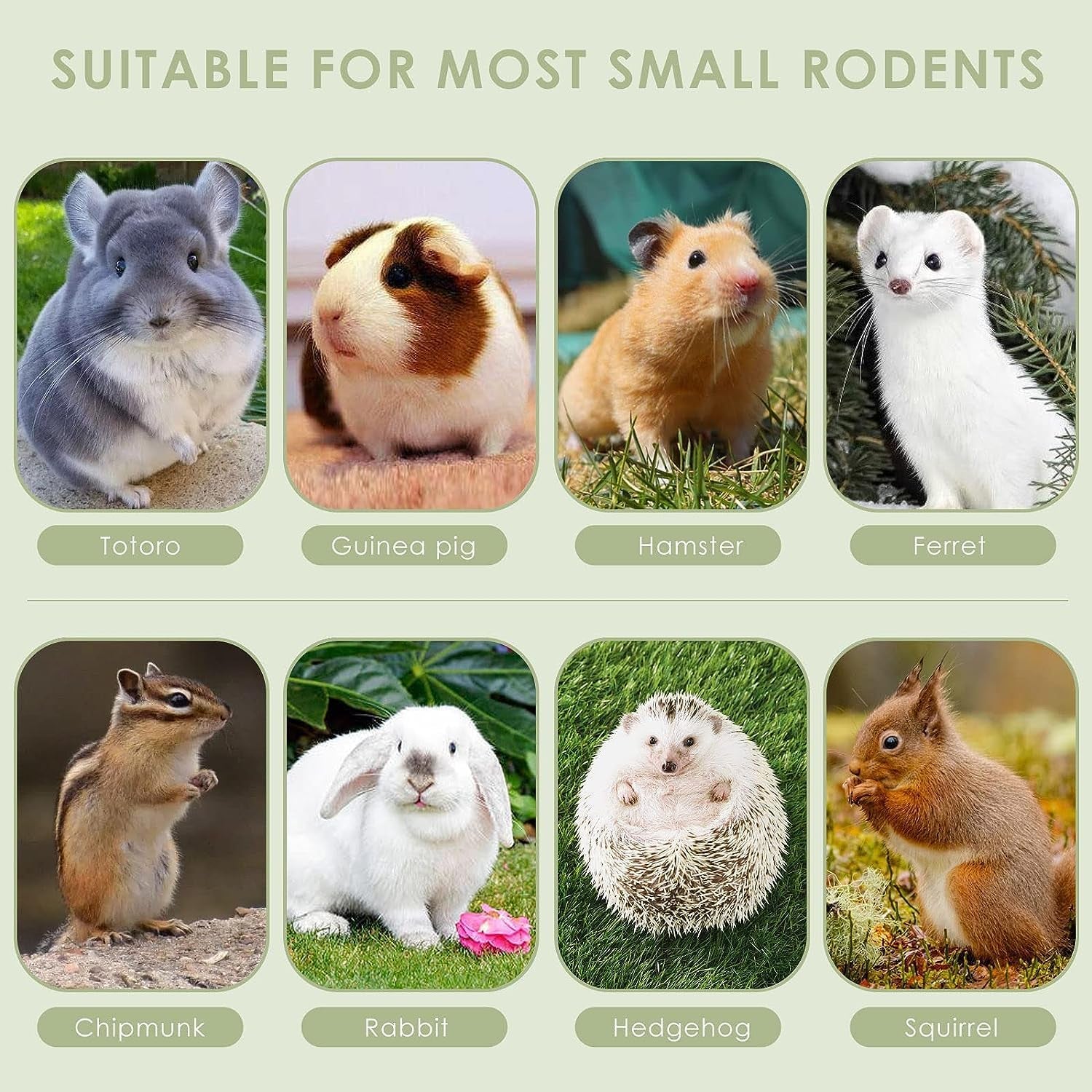 erkoon-timothy-hay-sticks-rabbit-chew-toys-for-teeth-natural-molar-sticks-rabbits-treats-for-bunnies-chinchilla-guinea-pigs-gerbil-hamster-25-pcs