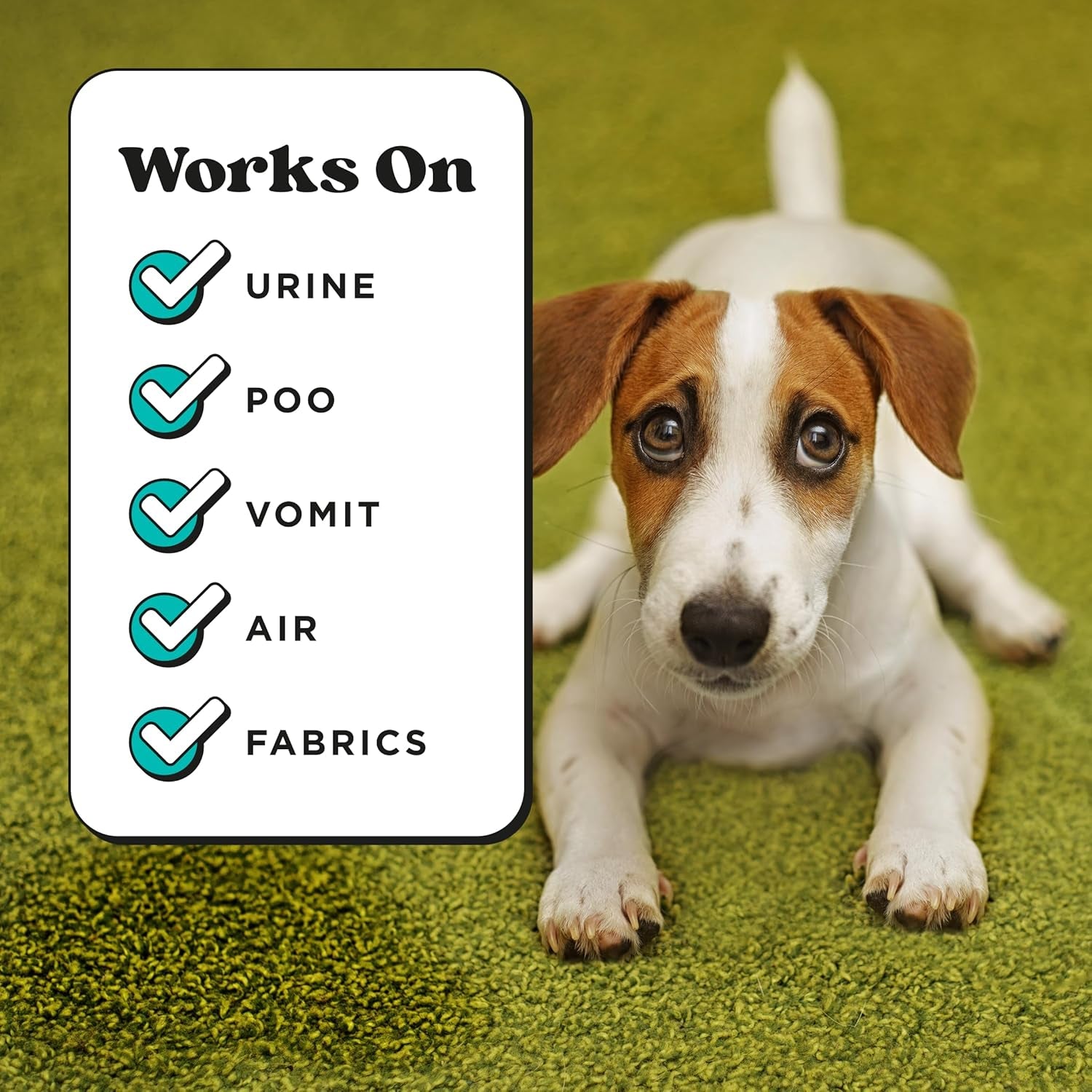 pet-pourri-pawsitively-fresh-pet-odor-deodorizer-spray-16-fl-oz-up-to-800-uses-air-fabric-odor-remover-with-essential-oils-plant-based-ingredients-vet-recommended-pineapple-jasmine-pear