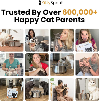 Kittyspout Stainless Steel Cat Water Fountain Automatic Drinking Fountain, Quiet Circulating Water Bowl, Dishwasher Safe, Indoor Pet Fountain for Hydrated Healthy Cats (Stainless Steel, 4L Corded)8