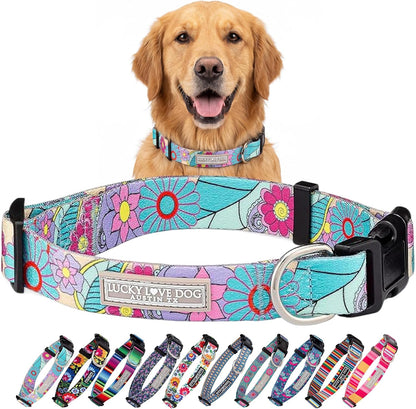 Lucky Love Dog - Easy Click Buckle Dog Collar with Leash Set Combo, Durable & Comfortable for Male & Female Dogs, Pet Collar for Medium Dogs, Secure Fit - Blackbird Combo, Medium81