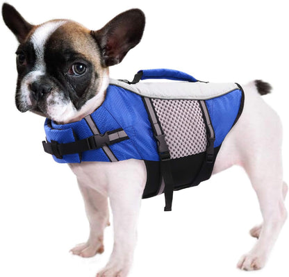 Queenmore Dog Life Jacket Small Float Vests for Swimming Boating Kayaking Mediumn Puppy Dogs Cats Neoprene Life Preserver Pet Water Lifesaver Lightweight Reflective Green,L9