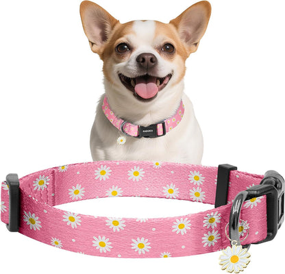 Kazazoo Dog Collar Cute and Soft Nylon Puppy Collar Girl Dogs, Adjustable Purple Dog Collars for Medium Dogs, Purple Flowers-M17