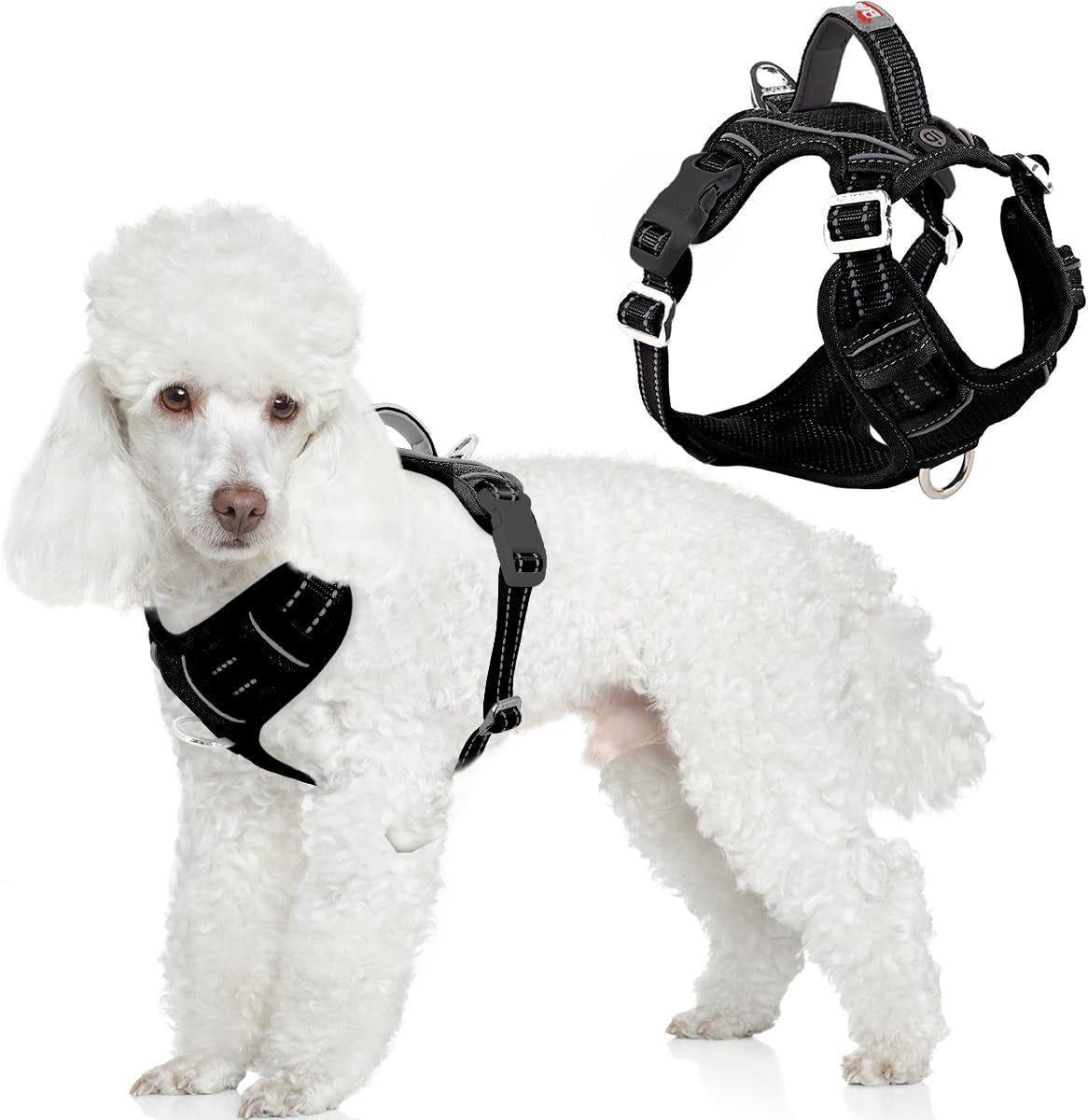 barkbay-dog-harness-no-pull-with-id-tag-pocket-heavy-duty-reflective-easy-control-for-large-dogsblue-l