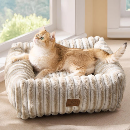 Bedsure Comfyfleece™ Cute Dog Bed for Small Medium Dogs Washable,25In Cream | Furry Puppy Beds,Square Rectangle Orthopedic Corduroy Aesthetic Pet Beds,Removable Zipper Cover,Non-Slip Bottom,Up to 15 Lbs49