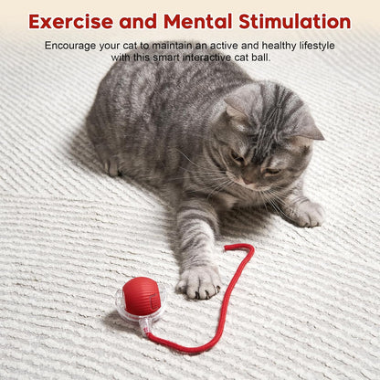 Interactive Dog & Cat Electric Active Toys, Smart Rolling Ball for Dogs & Cats, 360° Smart Automatic Rolling Pet Ball, Fast Moving Toy for Bored Indoor Kitty, Rechargeable(Red)8