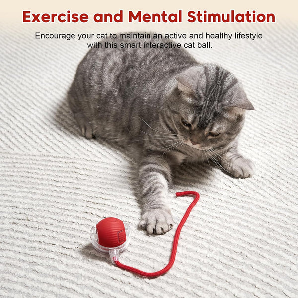 Interactive Dog & Cat Electric Active Toys, Smart Rolling Ball for Dogs & Cats, 360° Smart Automatic Rolling Pet Ball, Fast Moving Toy for Bored Indoor Kitty, Rechargeable(Red)8