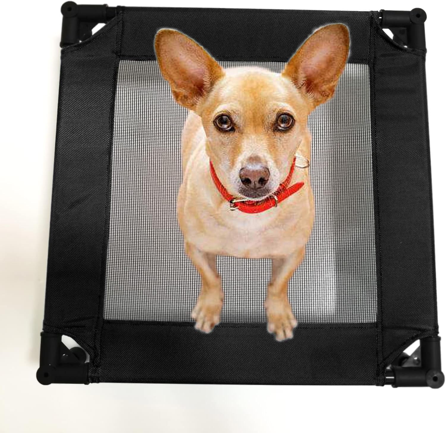 pozico-elevated-pet-bed-with-breathable-mesh-for-small-cat-and-dog-raised-cooling-pet-cot-for-puppy-and-kitty-18-9x18-9-inch-black-bed